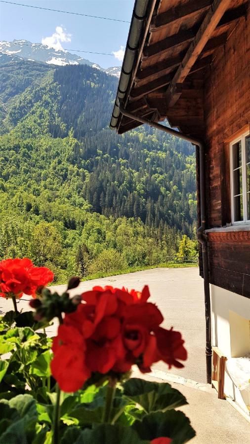 Bed and Breakfast Triftblick Gadmen Экстерьер фото