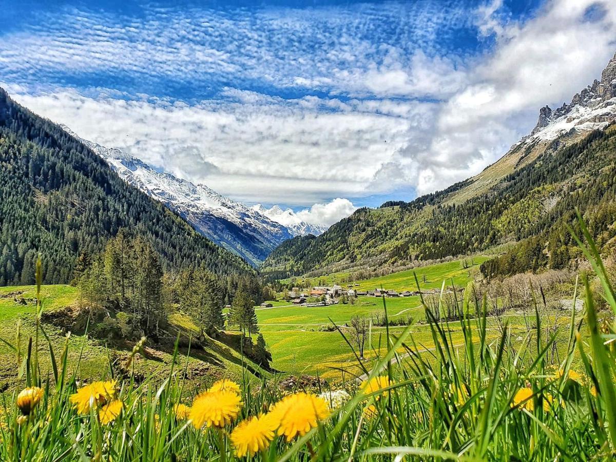 Bed and Breakfast Triftblick Gadmen Экстерьер фото